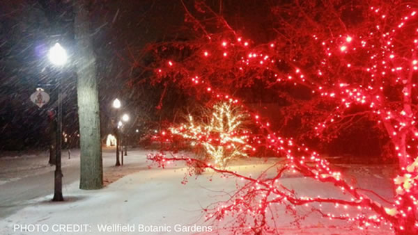 Elkhart Wellfield Botanic Gardens